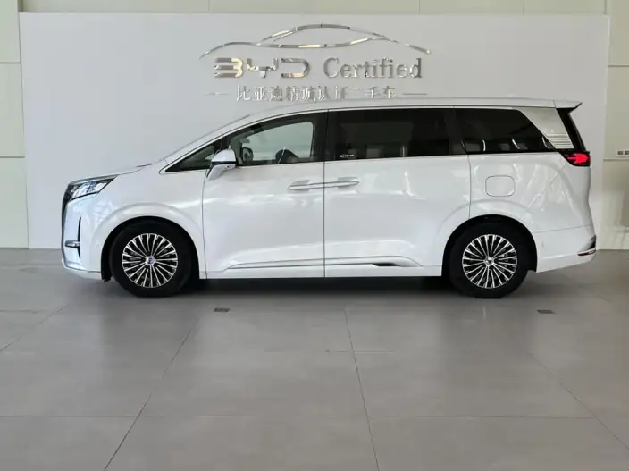Denza D9 EV 2024 Model 600 4WD Flagship Model