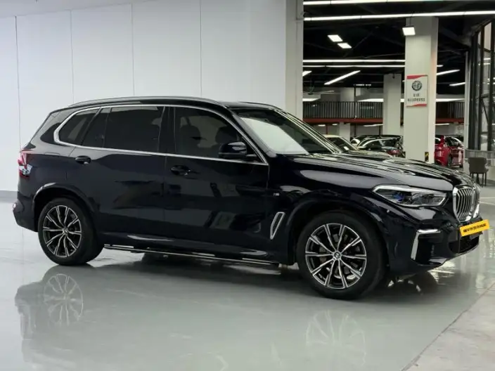 BMW X5 2022 Model Facelift xDrive 30Li Exclusive Model M Sports Set – фото 6