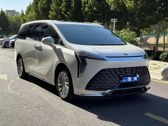 Century 2023 Model 2.0T VI seat Yunshi Edition