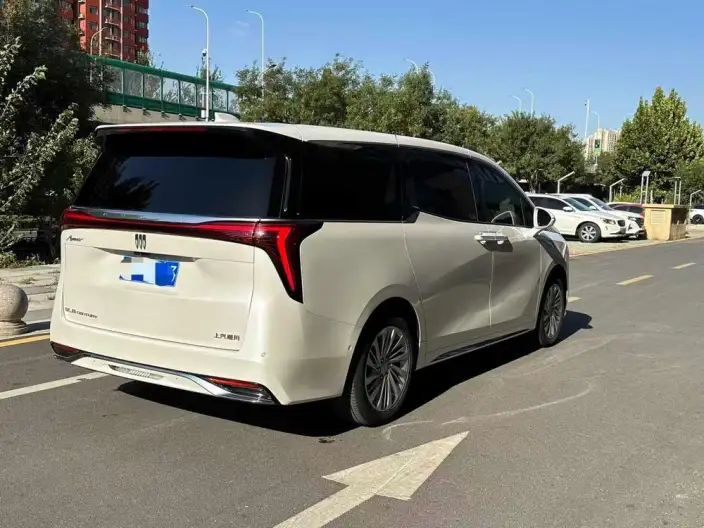 Century 2023 Model 2.0T VI seat Yunshi Edition – фото 6