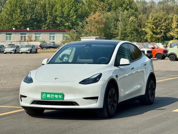 Model Y 2024 Model Rear-wheel drive version – фото 1