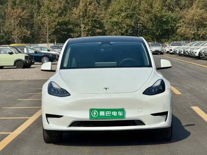 Model Y 2024 Model Rear-wheel drive version – фото 2