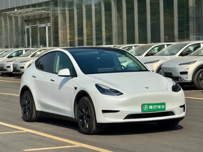 Model Y 2024 Model Rear-wheel drive version – фото 3