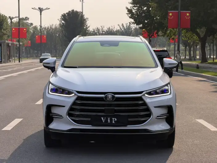 BYD Tang DM 2021 Model DM-i 1.5T 112KM Zunrong Model – фото 2