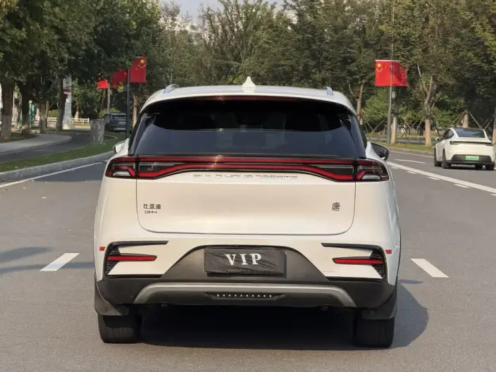 BYD Tang DM 2021 Model DM-i 1.5T 112KM Zunrong Model – фото 6