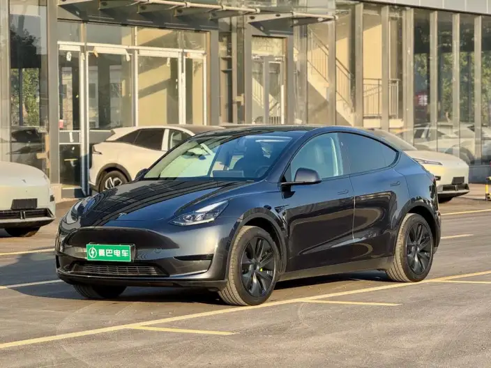 Model Y 2024 Model Rear-wheel drive version – фото 1