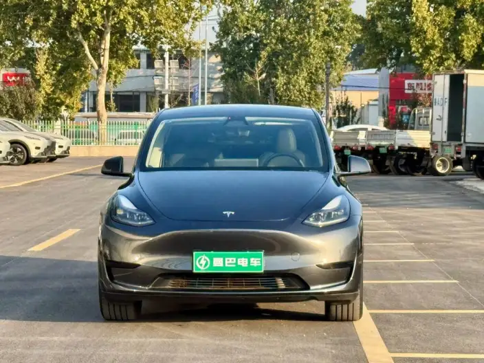 Model Y 2024 Model Rear-wheel drive version – фото 2