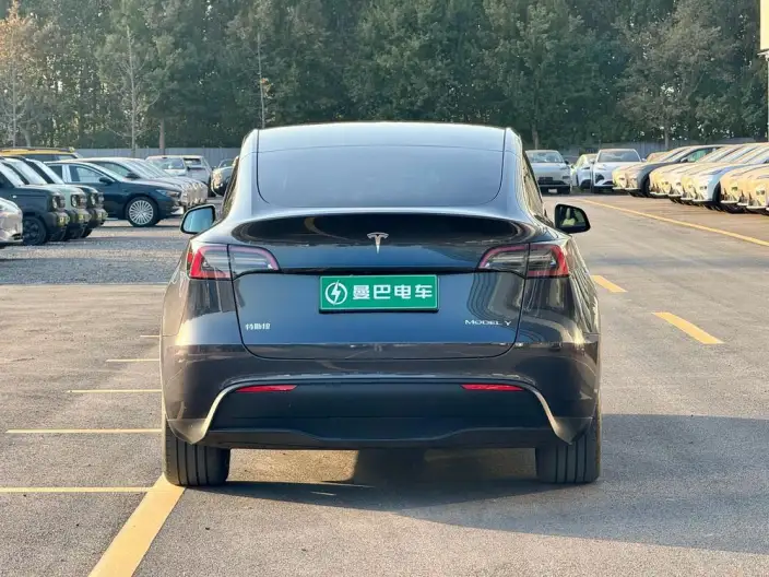 Model Y 2024 Model Rear-wheel drive version – фото 6