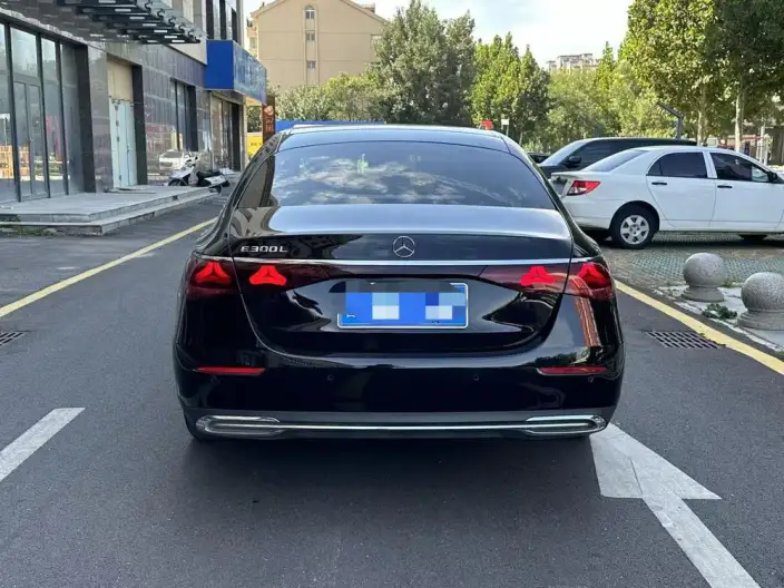 Mercedes-Benz E-Class 2024 Model E 300 L Luxury Model sedan – фото 5