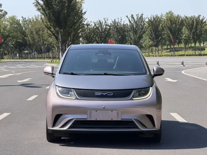 BYD Dolphin 2021 Model Knight Edition – фото 2