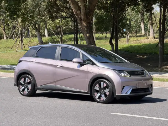 BYD Dolphin 2021 Model Knight Edition – фото 3