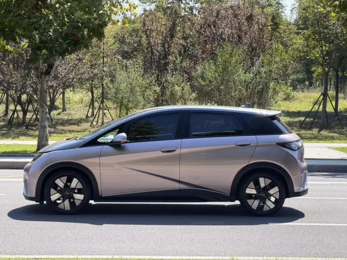 BYD Dolphin 2021 Model Knight Edition – фото 4