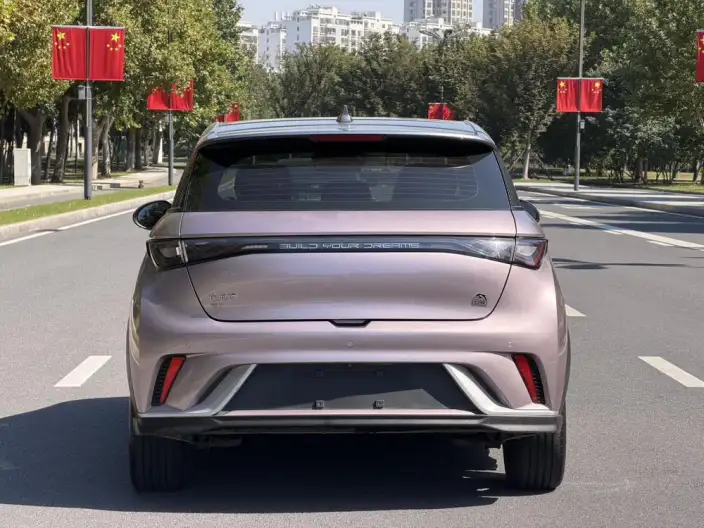 BYD Dolphin 2021 Model Knight Edition – фото 5