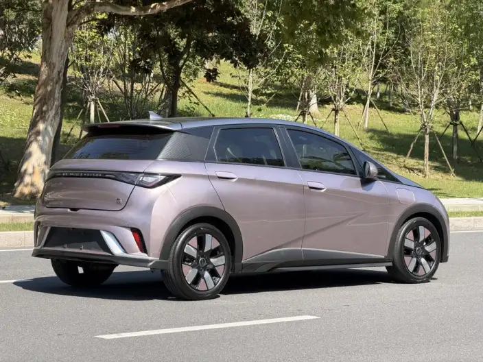 BYD Dolphin 2021 Model Knight Edition – фото 6