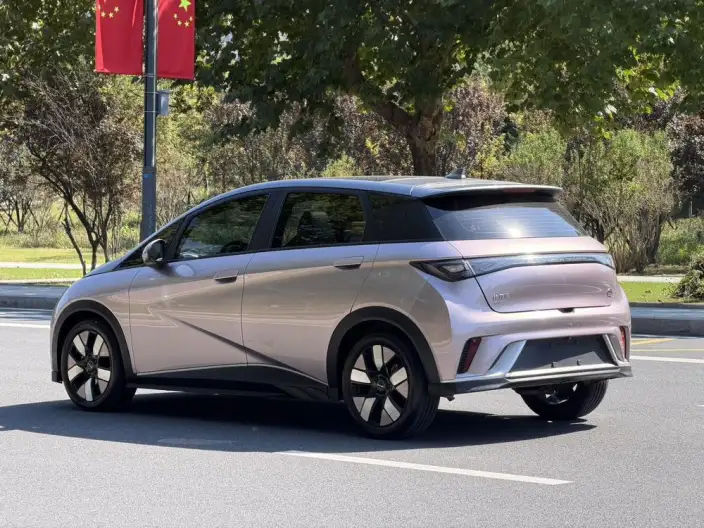 BYD Dolphin 2021 Model Knight Edition – фото 7