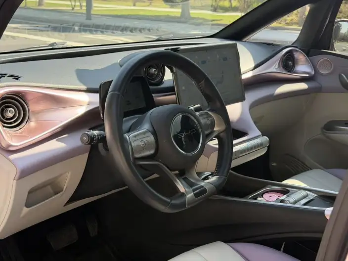 BYD Dolphin 2021 Model Knight Edition – фото 10