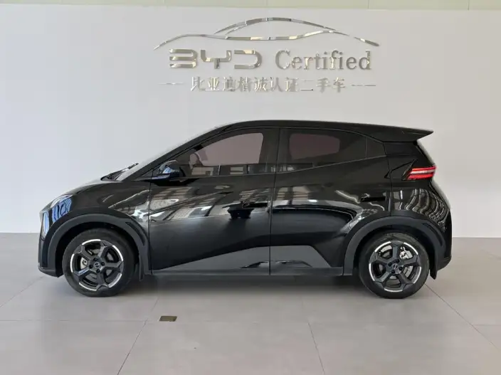 BYD Seagull 2023 Model Feixiang Edition – фото 3