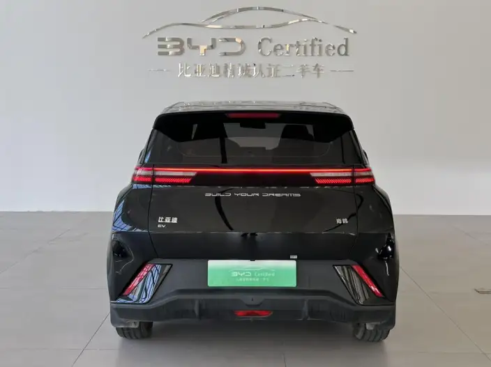 BYD Seagull 2023 Model Feixiang Edition – фото 4