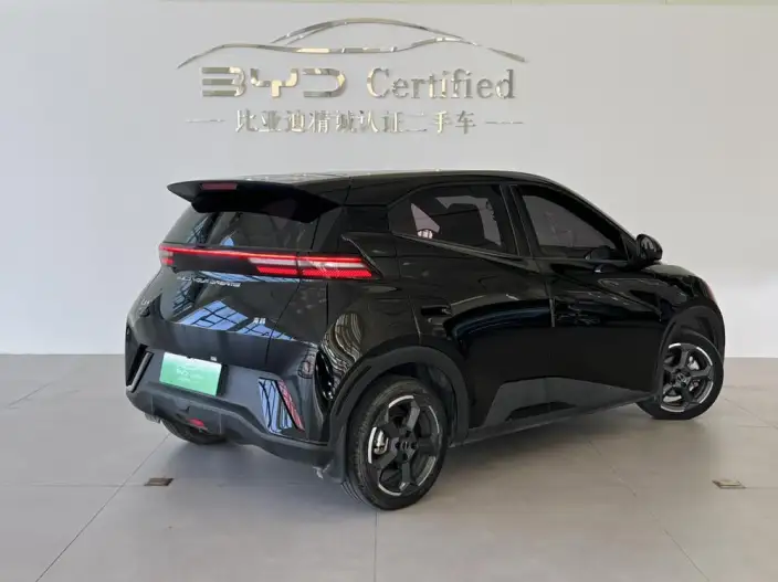 BYD Seagull 2023 Model Feixiang Edition – фото 5