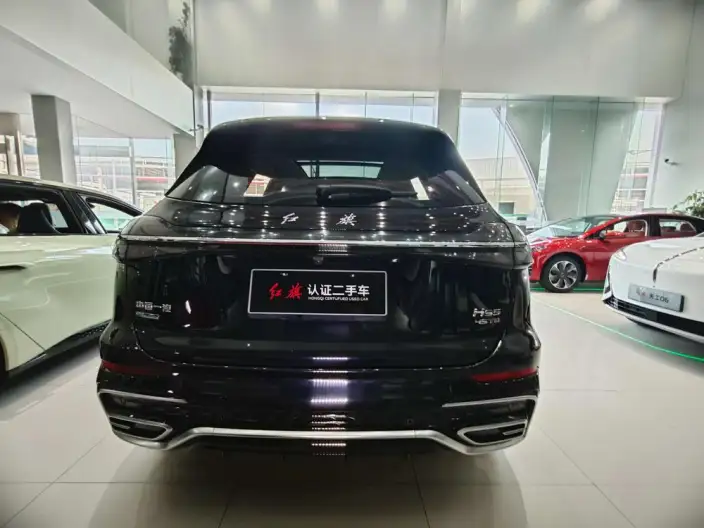 Hongqi HS5 2023 Model 2.0T 4WD Flag Xiang Pro Edition – фото 3