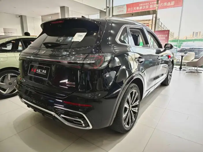 Hongqi HS5 2023 Model 2.0T 4WD Flag Xiang Pro Edition – фото 4