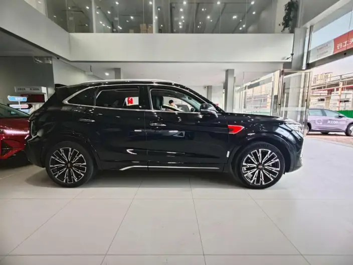 Hongqi HS5 2023 Model 2.0T 4WD Flag Xiang Pro Edition – фото 10