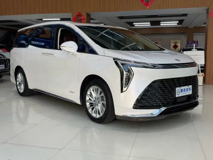 Century 2025 Model 2.0T VII seat Yunshi Edition – фото 3