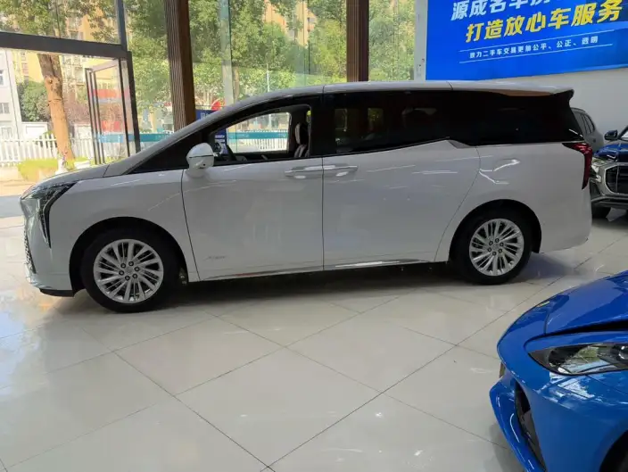 Century 2025 Model 2.0T VII seat Yunshi Edition – фото 4
