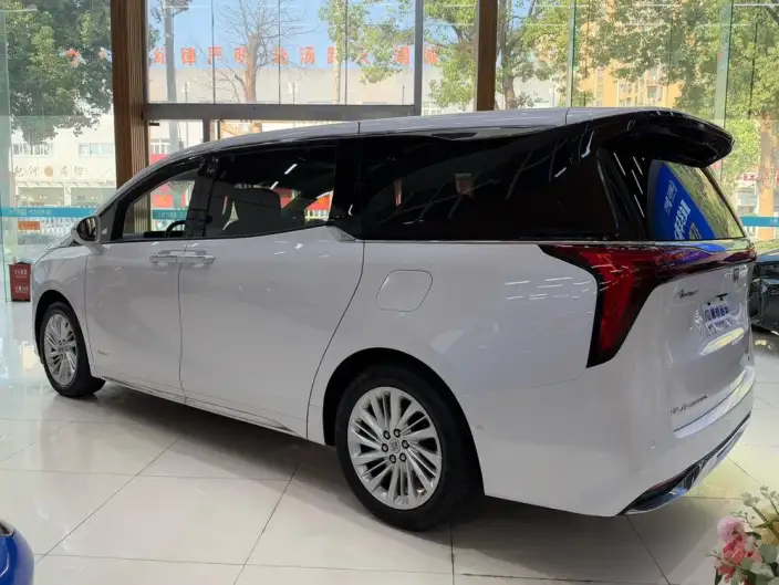 Century 2025 Model 2.0T VII seat Yunshi Edition – фото 5