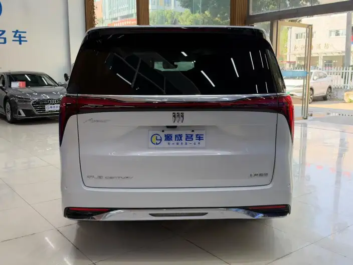Century 2025 Model 2.0T VII seat Yunshi Edition – фото 6