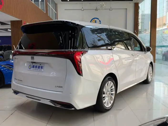 Century 2025 Model 2.0T VII seat Yunshi Edition – фото 7