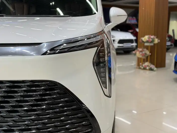 Century 2025 Model 2.0T VII seat Yunshi Edition – фото 9