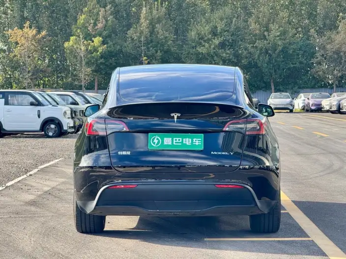 Model Y 2022 Model Facelift Long Battery Life Pro All-wheel drive version – фото 5