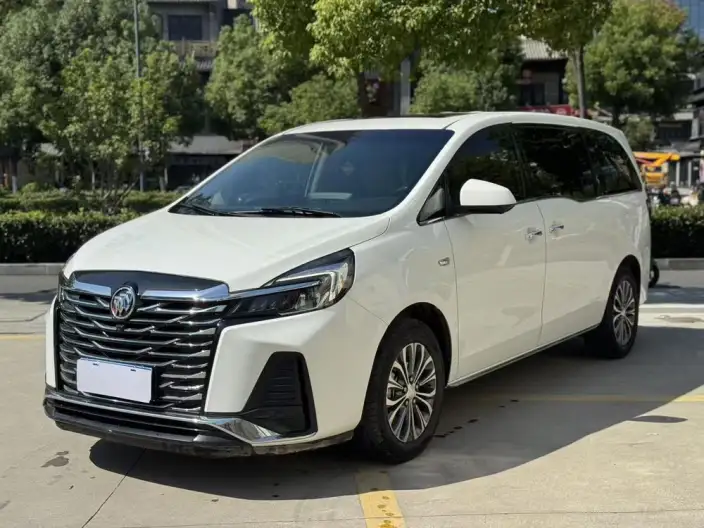 Buick GL8 2023 Model Business class 2.0T Luxury Model – фото 1