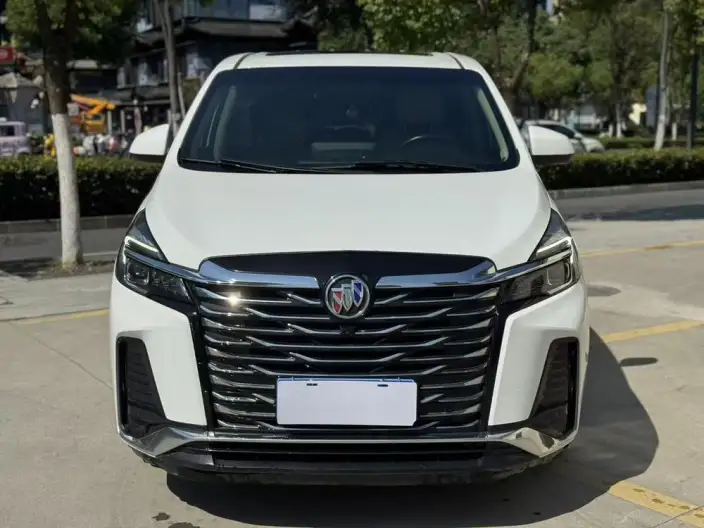 Buick GL8 2023 Model Business class 2.0T Luxury Model – фото 2