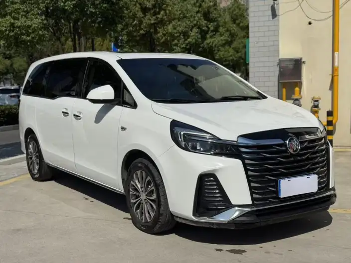 Buick GL8 2023 Model Business class 2.0T Luxury Model – фото 3