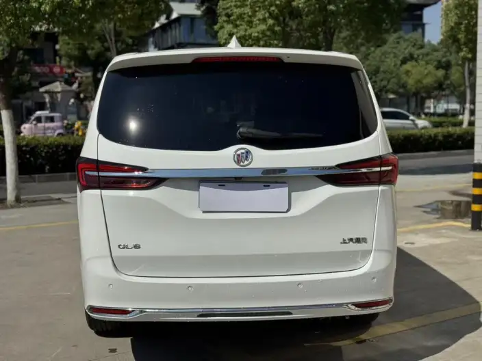 Buick GL8 2023 Model Business class 2.0T Luxury Model – фото 5
