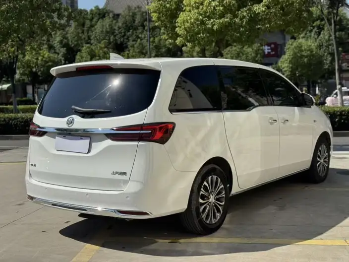 Buick GL8 2023 Model Business class 2.0T Luxury Model – фото 6