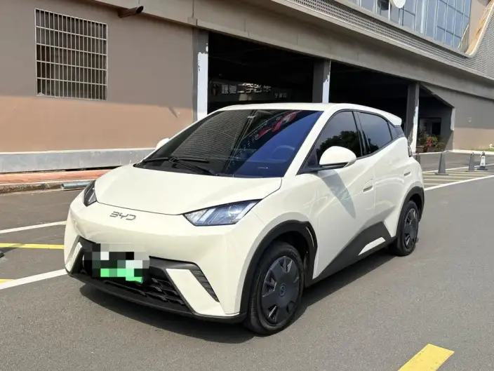 BYD Seagull 2024 Model Honor Edition 305KM Vitality Edition – фото 1