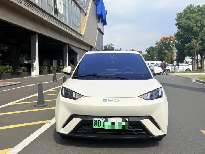 BYD Seagull 2024 Model Honor Edition 305KM Vitality Edition – фото 2