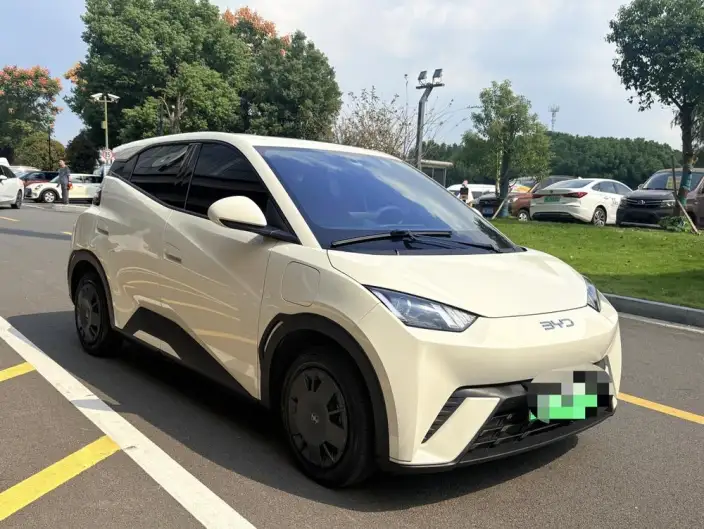 BYD Seagull 2024 Model Honor Edition 305KM Vitality Edition – фото 3