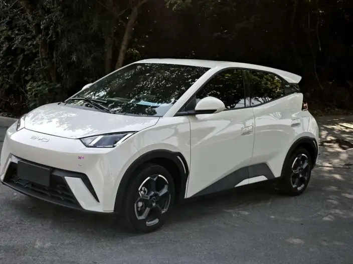 BYD Seagull 2024 Model Honor Edition 305KM Free Edition – фото 1