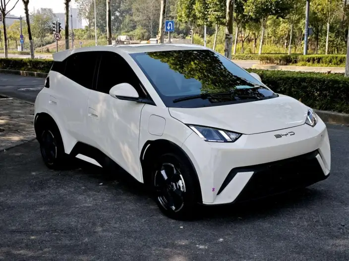 BYD Seagull 2024 Model Honor Edition 305KM Free Edition – фото 3