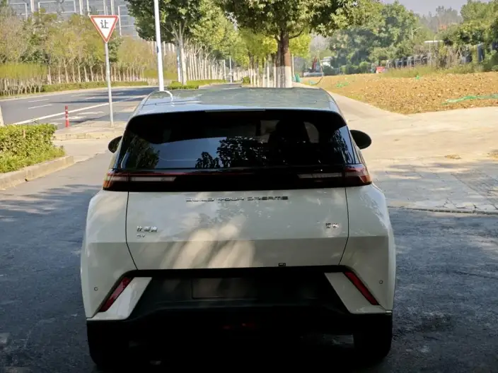BYD Seagull 2024 Model Honor Edition 305KM Free Edition – фото 6