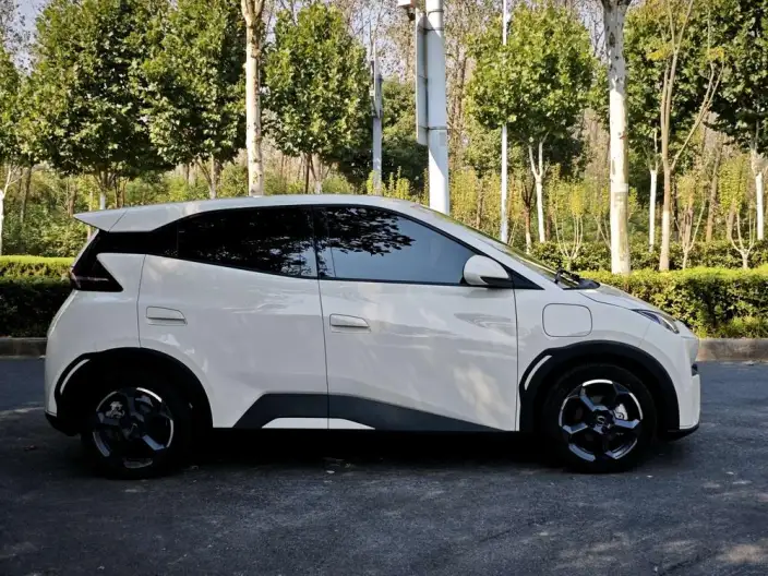 BYD Seagull 2024 Model Honor Edition 305KM Free Edition – фото 8