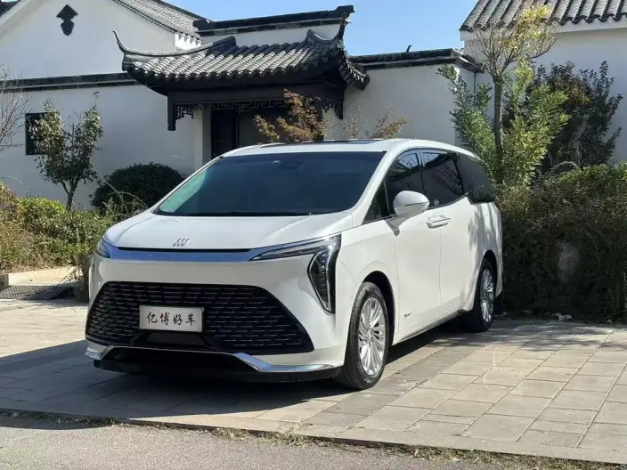 Century 2023 Model 2.0T VI seat Yunshi Edition – фото 1