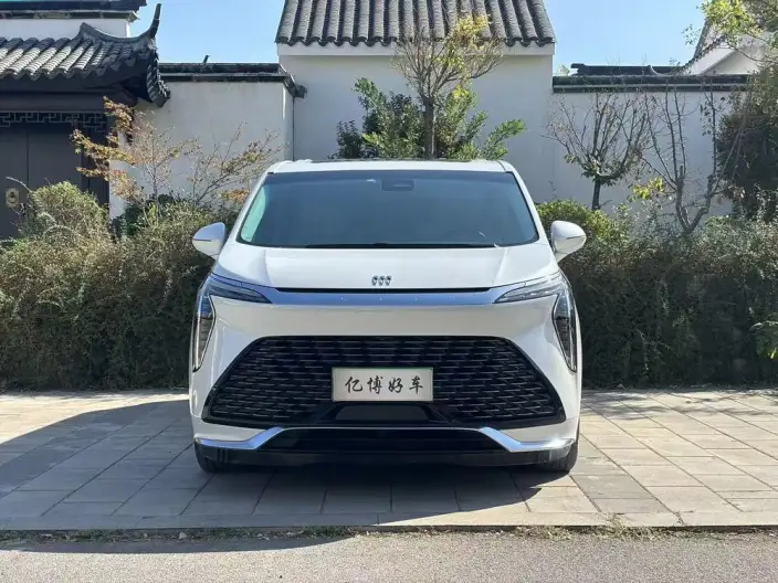 Century 2023 Model 2.0T VI seat Yunshi Edition – фото 2