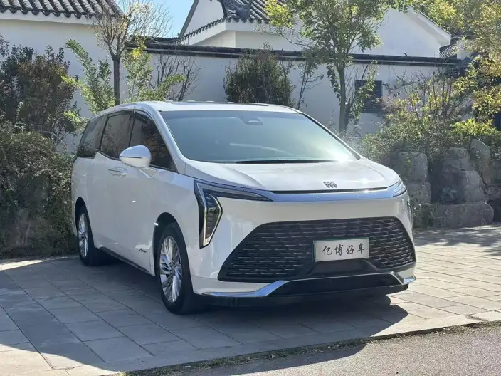 Century 2023 Model 2.0T VI seat Yunshi Edition – фото 3