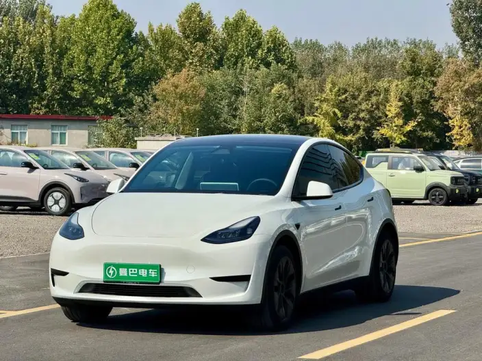 Model Y 2024 Model Rear-wheel drive version – фото 1