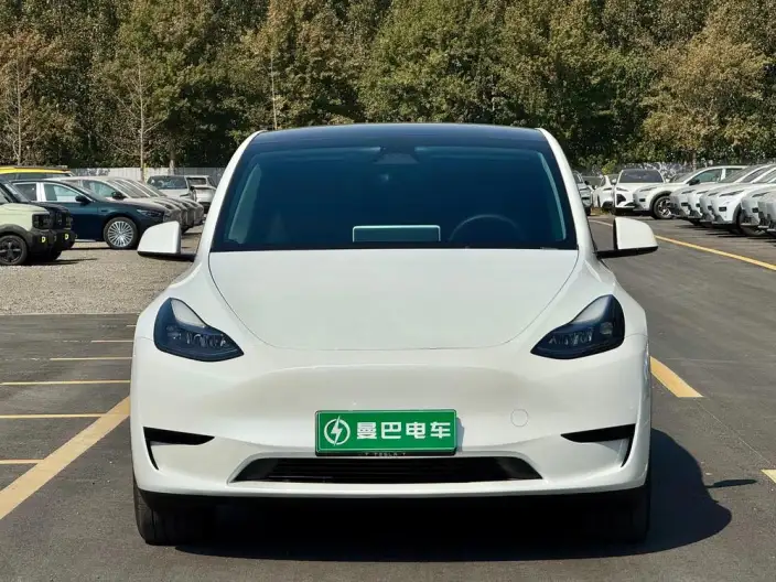 Model Y 2024 Model Rear-wheel drive version – фото 2